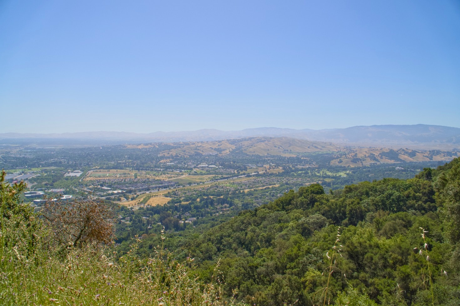 Top Political Developments in San Fernando Valley This Month