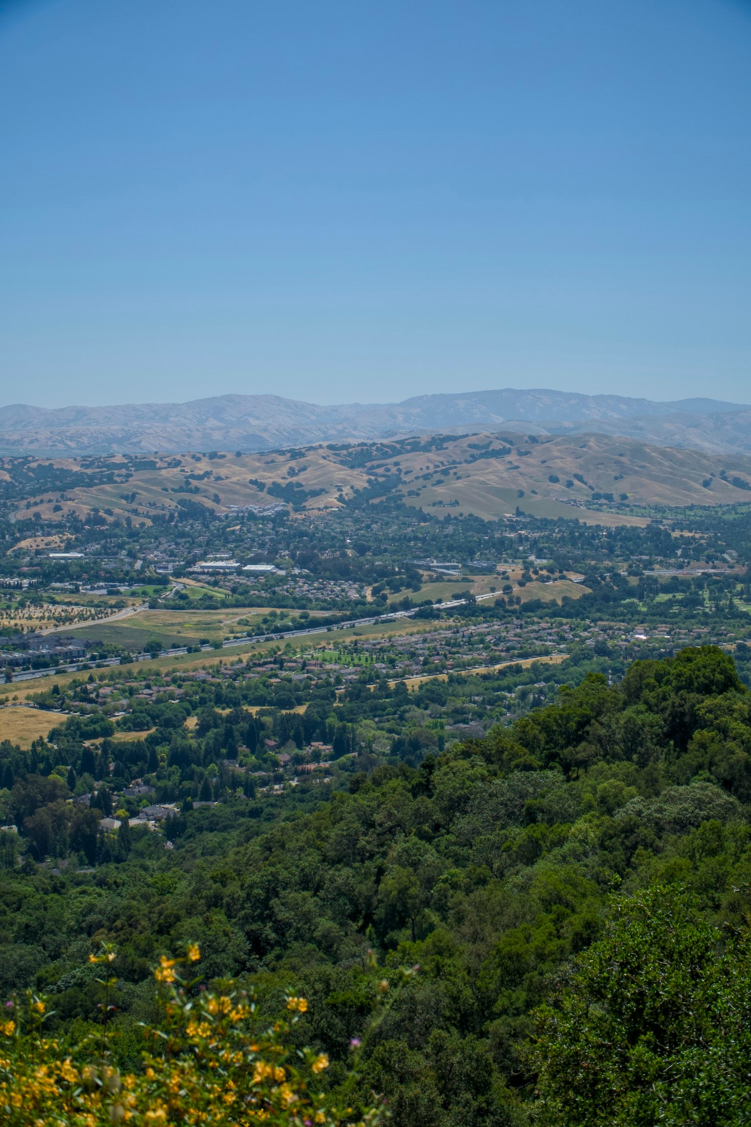Breaking Down the Latest San Fernando Valley Events